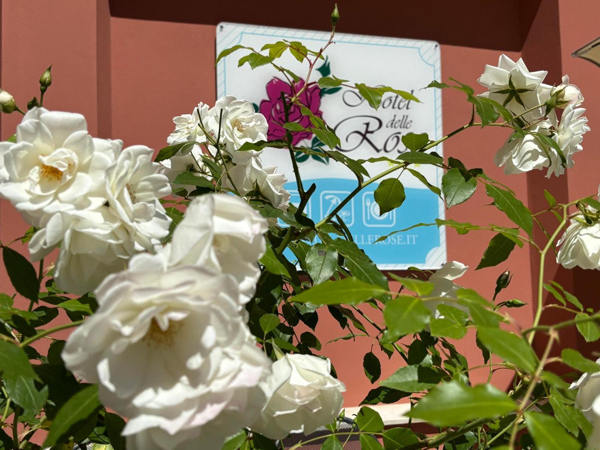 Hotel Delle Rose San Bartolomeo al Mare Kültér fotó